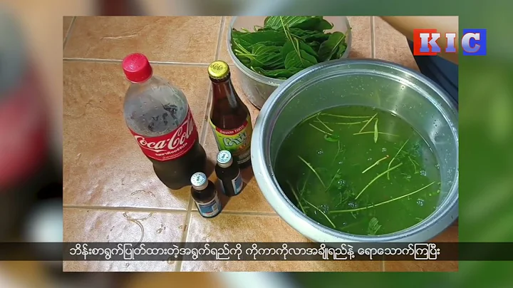 Trades and cultivates Kratom in the KNU-controlled...