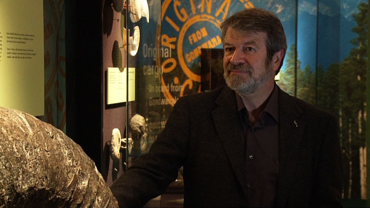 Giant Ammonite - Tales from Te Papa episode 7