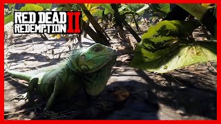Red Dead Redemption 2 - Green IGUANA Head Bobbing [Animals Details]