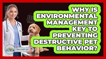 Why Is Environmental Management Key To Preventing Destructive Pet Behavior? - Ask A Pet Vet