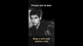 Мой перевод песни “Porque aún te amo” (Димы Билана) + правильный текст на испанском