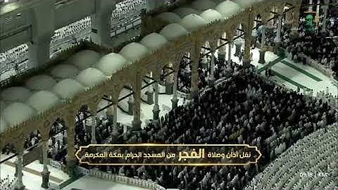 ' سورة إبراهيم ١٩ - ٣٤ '  الشيخ #بدر_التركي صلاة الفجر ٨-٤-١٤٤٦ هـ
