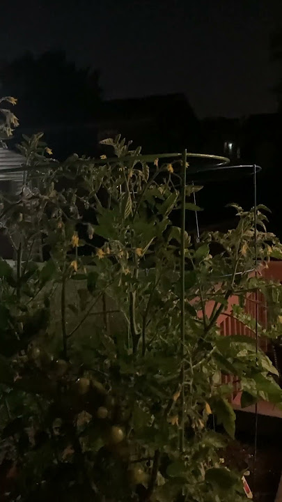 Reaching for the stars