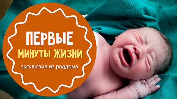 Как часто в роддоме приносят ребенка