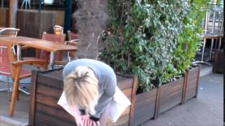 Una Storia Damore Tra Siviglia E Parigi