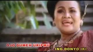 37. Ojo Sembrono {Dewi Senowati}