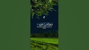 (وَأَمَّا مَنْ خَافَ مَقَامَ رَبِّهِ)قرآن كريم بصوت اسلام صبحي.