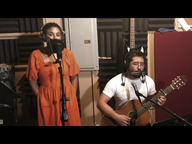 Adele: Make You Feel My Love cover