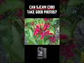 Can the SJCAM C300 Take Good Photos? | Still/Photo Mode Test | Review #sjcam #photography #camera