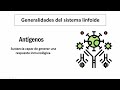 Sistema inmunológico parte I