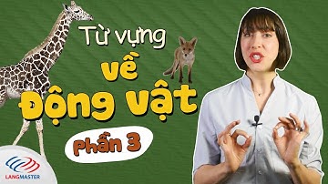 Từ vựng tiếng Anh về Các loài động vật (Phần 3) || Học từ vựng tiếng Anh theo chủ đề
