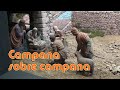 Quiz sobre el Video Tutorial