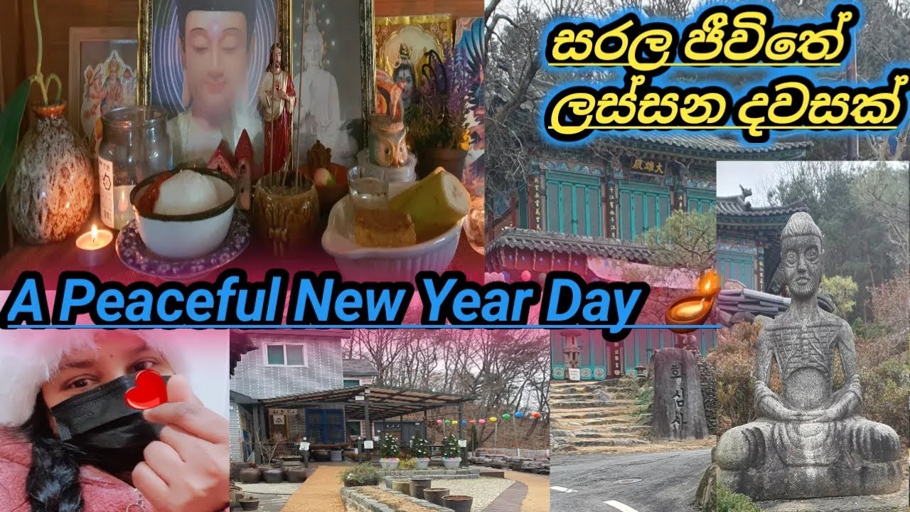 How I Spent My New Year Day 🤌❤️ Simple Life Vlog🤌අලුත් වසරට සන්සුන් ආරම්භයක්..