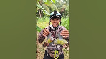 Báo hàng Cu Xanh kkk 🤩#saukavlogs #slingshot #catapult #nacaosu