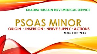 PSOAS MINOR|| ORIGIN|| INSERTION || NERVE SUPPLY || ACTION (KHRMS|| ANATOMY DEPARTMENT)