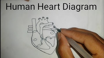 SSC 2022 13th Week Science Assignment // 13th week assignment ssc 2022