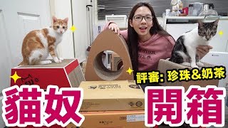 開箱超多貓咪商品! 這些食物跟玩具珍珠奶茶會喜歡嗎?! ♥ 滴妹