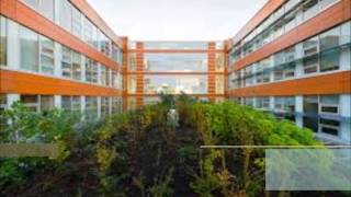 Centre for Interactive Research on Sustainability