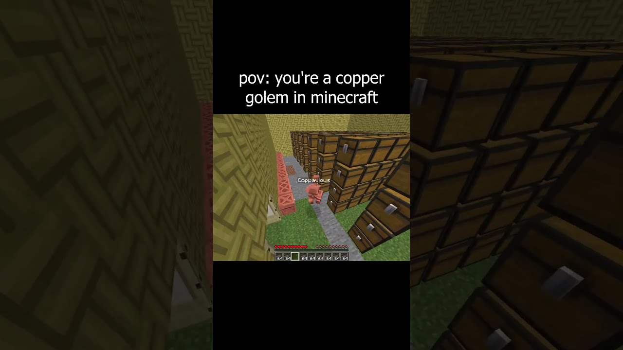 Pov You Re A Copper Golem In Minecraft