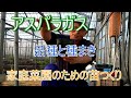 【アスパラガス】家庭菜園で栽培しましょう！まずは、苗つくりから！