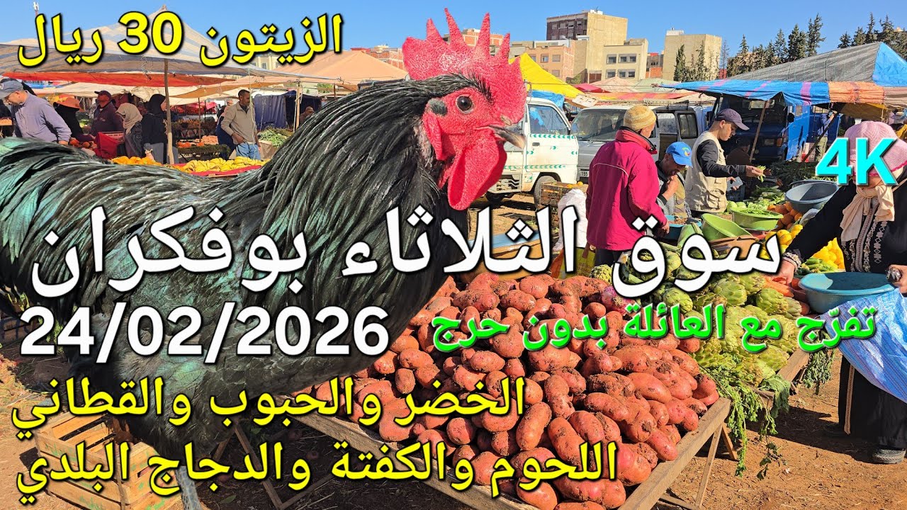 أثمنة اللحوم والدجاج والخضر والزيتون سوق الثلاثاء بوفكران اليوم 24/02/2026