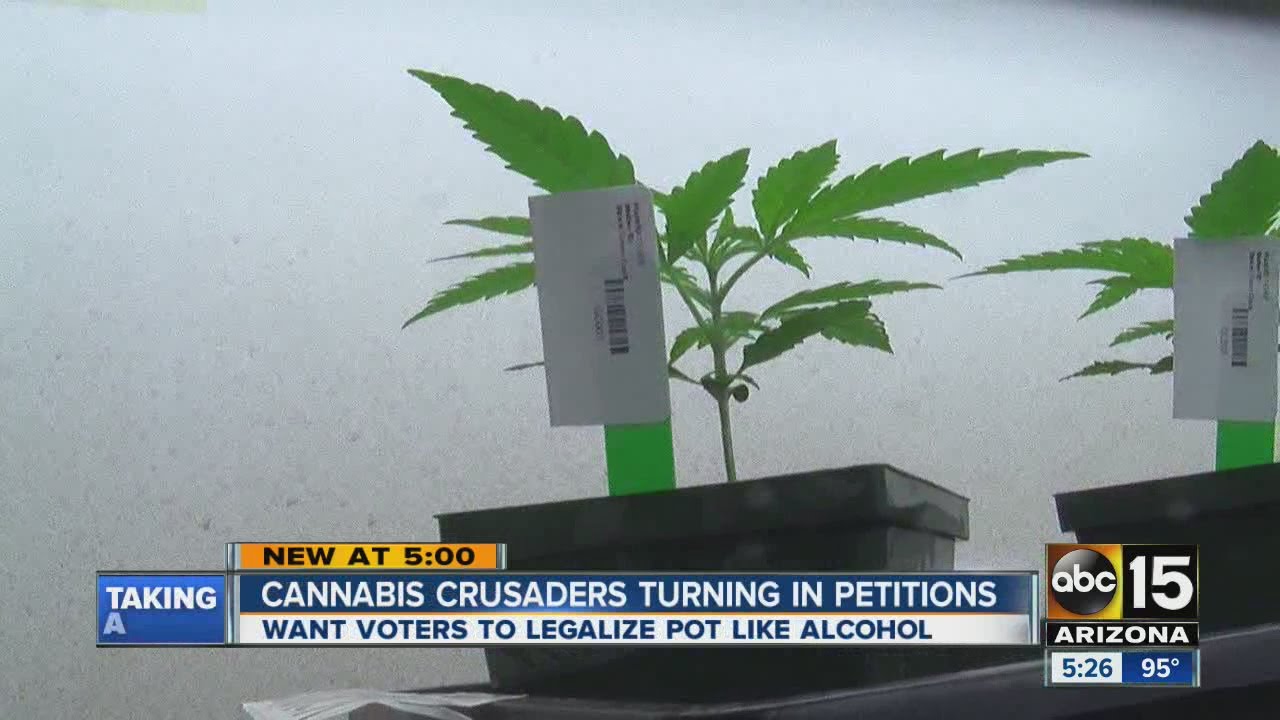 Cannabis Crusaders turning in petitions