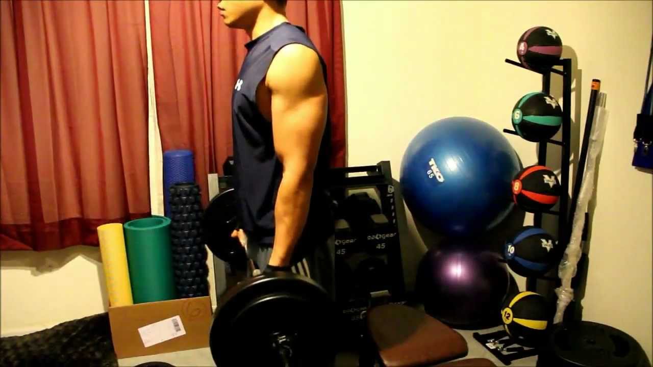 Body Beast - Day 75 - Bulk: Arms