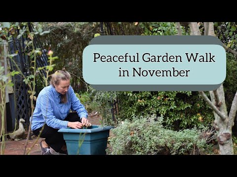 Subtle Textures and Colors, Garden Walk