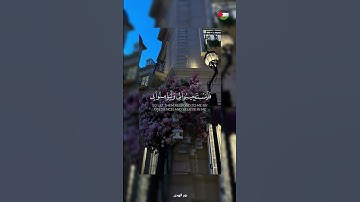 ✨️لا اله الا الله 🍉#قرآن #اكسبلور #تلاوة_خاشعة #islamic #المصحف #فلسطين #غزة