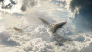 Two Steps From Hell - Miracle