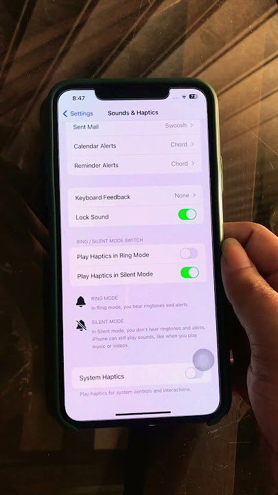 How To Enable Haptics & Vibration in Silent mode on iPhone
