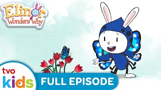 ELINOR WONDERS WHY  The Zig Zag Plant / Butterfly Drinks  FULL EPISODES on TVOkids!