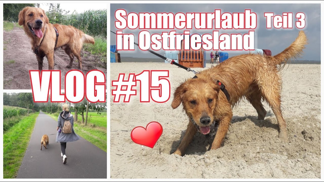 VLOG 15 / Sommerurlaub Teil 3 / Wandern mit Hund / Hundeparadies in