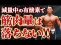 【新たな仮説】減量中の有酸素&ローカロリーで筋肉は減らない!?