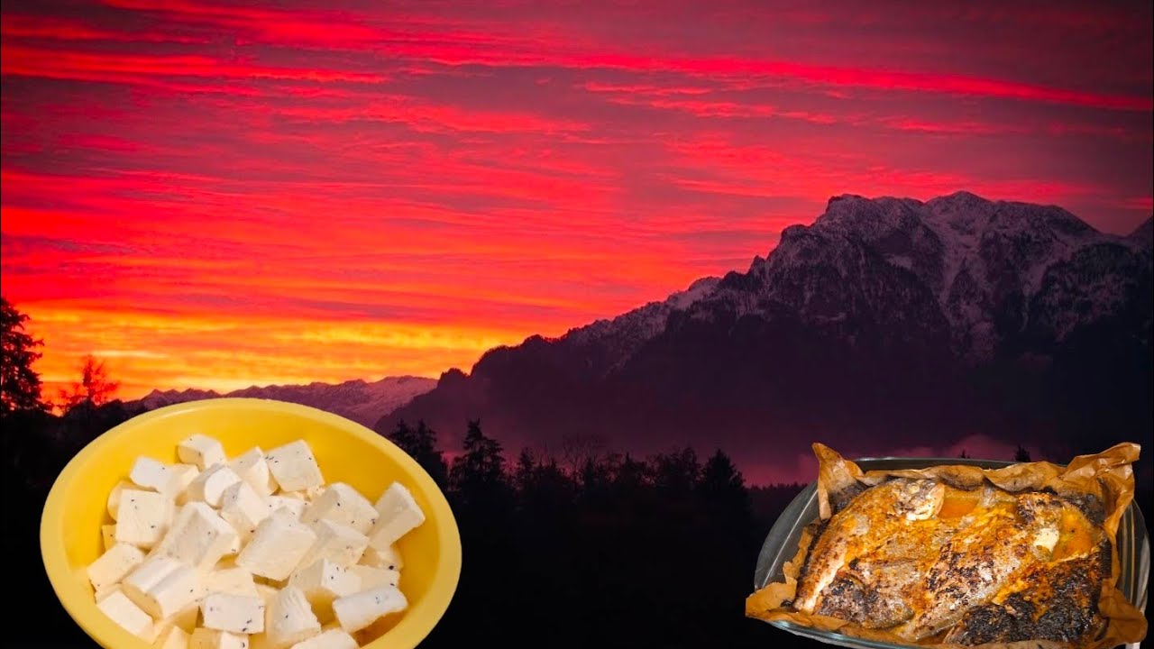 طريقة عمل جبنة🧀 سورية مع طبخه سمك🦈 فى الفرن.#اكسبلور #youtubeshorts #deutschland 