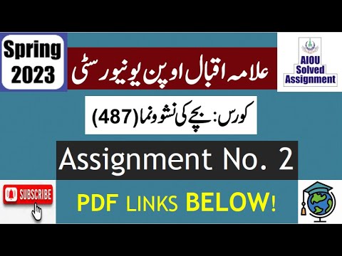 487 solved assignment spring 2023 pdf download