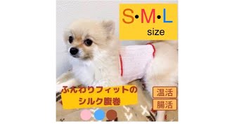犬用シルク腹巻き 　犬用腹巻き　シルク 日本製  犬の下痢