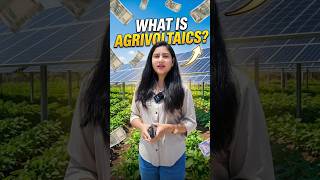 Solar Panels + Farming 🤯 Double Income Model | Agrivoltaics Kya Hai?