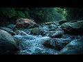 Jungle River Sounds for Deep Sleep – Natural White Noise, No Music