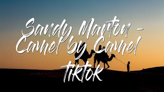 Sandy Marton - Camel by Camel  zone tan ankha music animal crossing egyptian cat