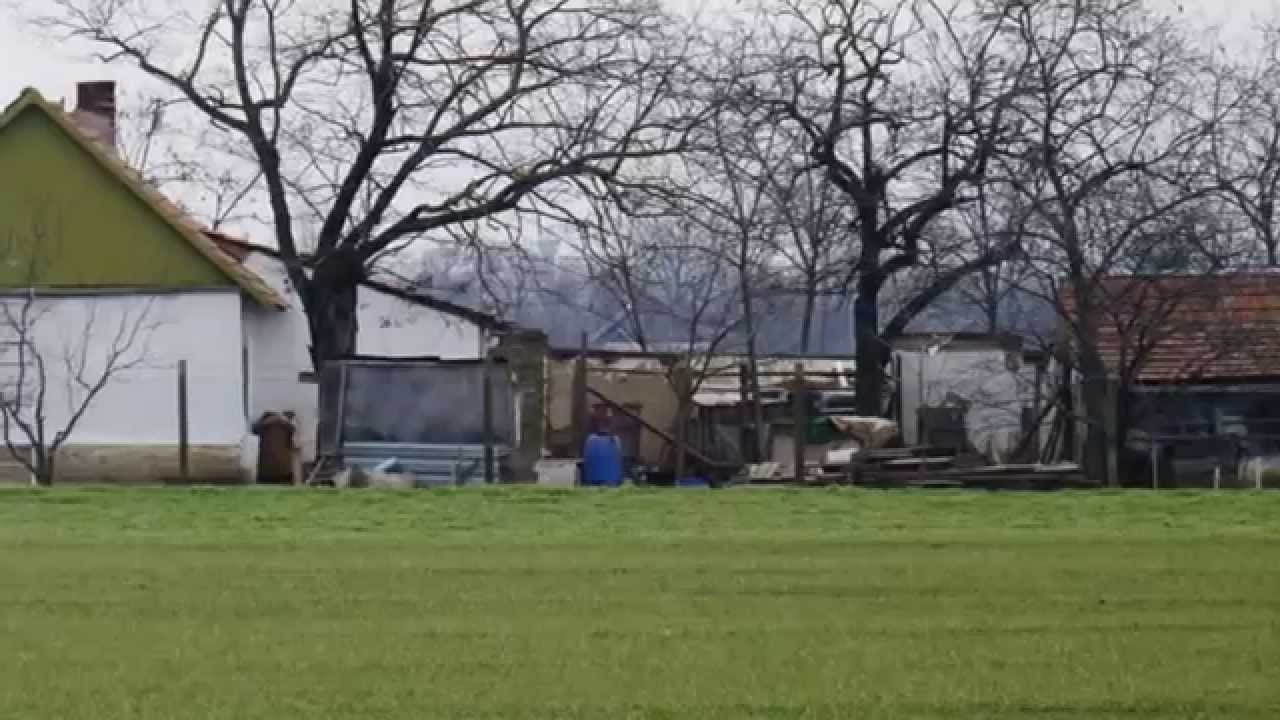 Tanyavilág Hódmezővásárhely környékén