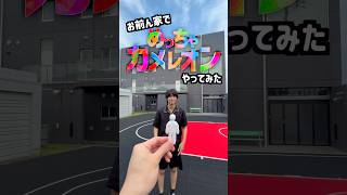 【実写版】家でめっちゃカメレオンやってみた