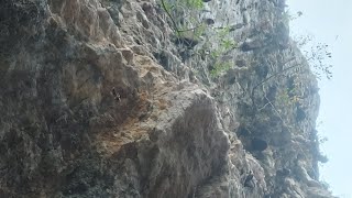 Sulitnya Panen Madu Batu Cadas Sumatera Barat #maduasli #madumurni