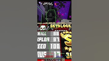 I droped Wither shield scroll /hypixel skyblock