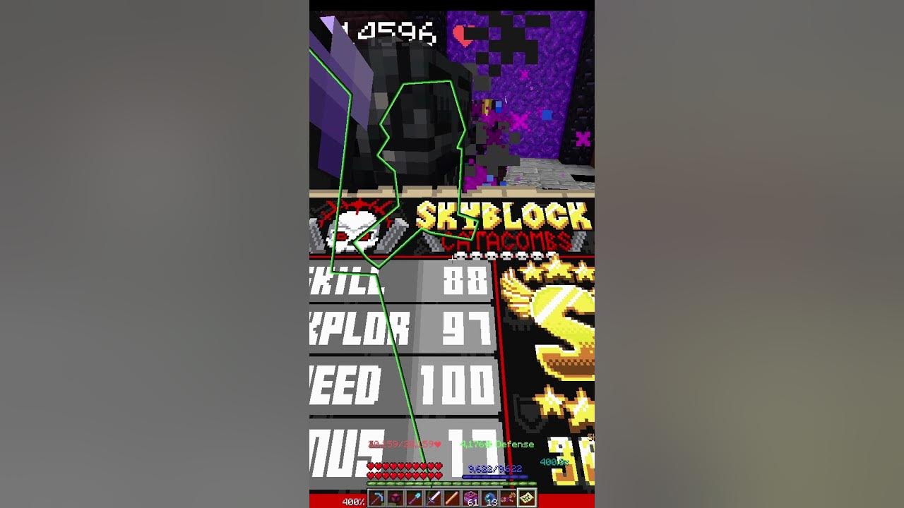 I droped Wither shield scroll /hypixel skyblock YouTube