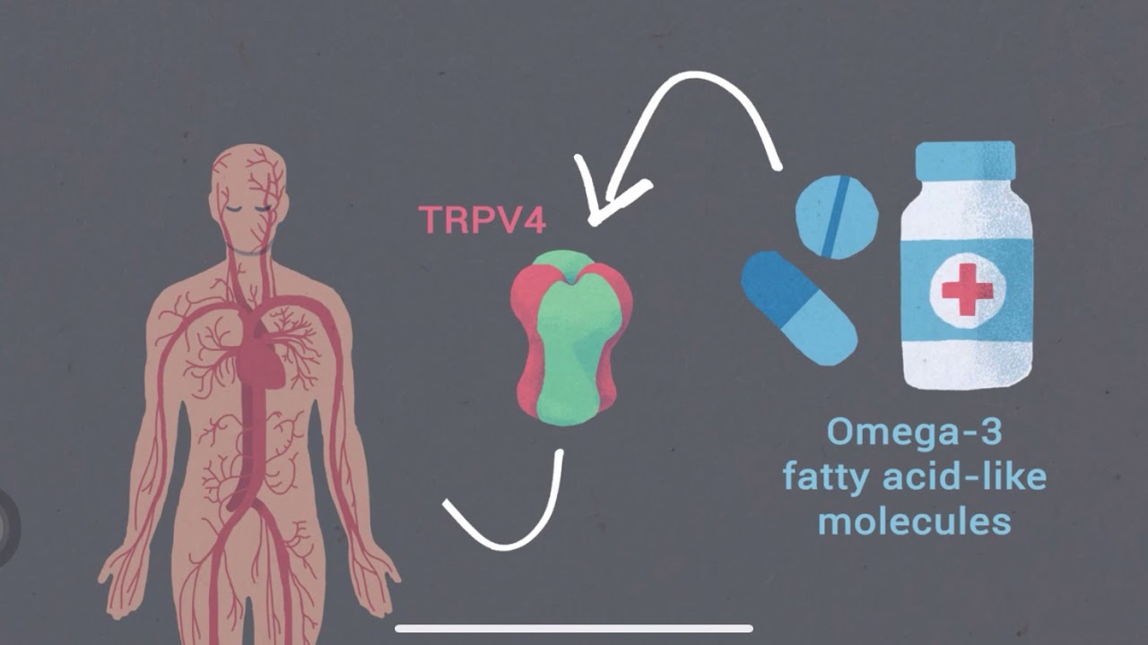 Marine n3 Fatty Acids and Prevention of Cardiovascular Diesease and