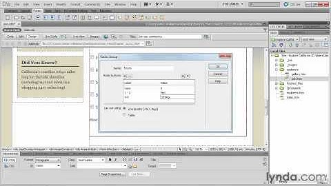 Dreamweaver CS5-101.mov