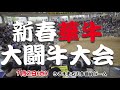 2025年1月2日【新春華牛大闘牛大会】告知動画
