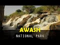 Awash national park