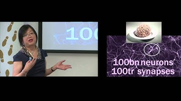 Non-Linear Analysis of Signal Complexity in Epileptic Neurones and Neuronal Networks